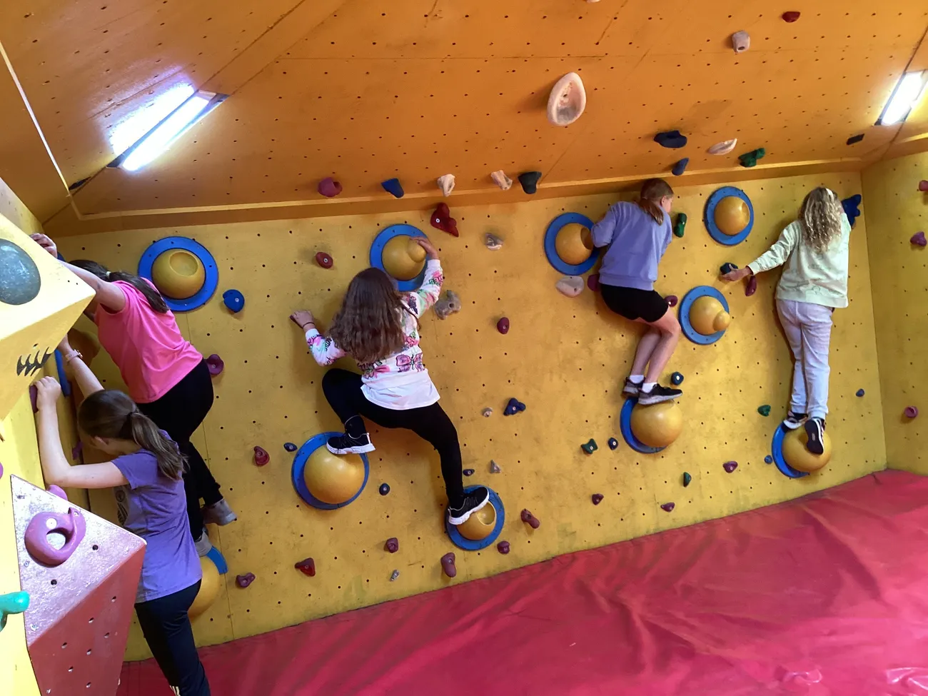 Gallery - created at 2024-09-19 18:43:06 - image 13 Gallery - created at 2024-09-19 18:43:06 - image 13