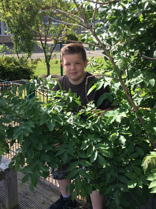 Gallery - created at 2021-06-29 11:56:47 - image 42