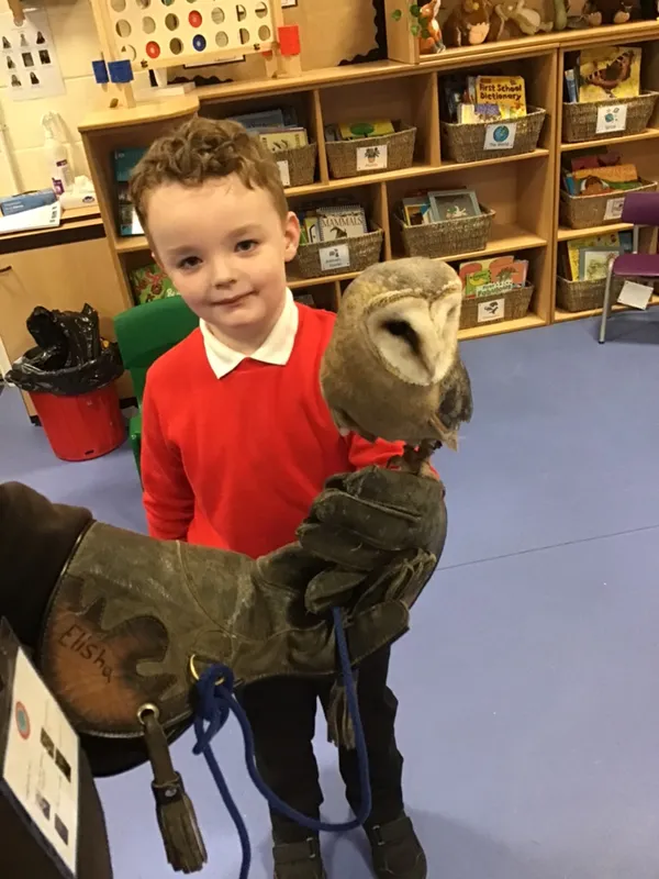 birds of prey year 1 25 - image 10 birds of prey year 1 25 - image 10