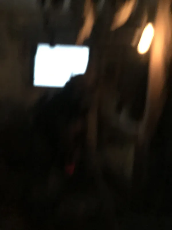 Eden camp 23rd Sept 2025 - image 97