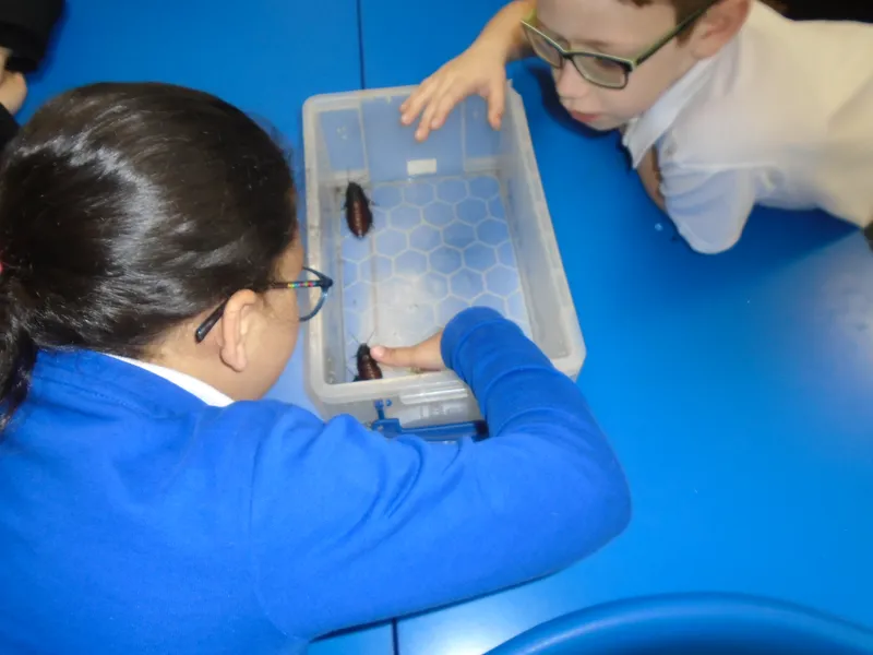Y3 Yorkshire Wildlife Park Trip - image 33