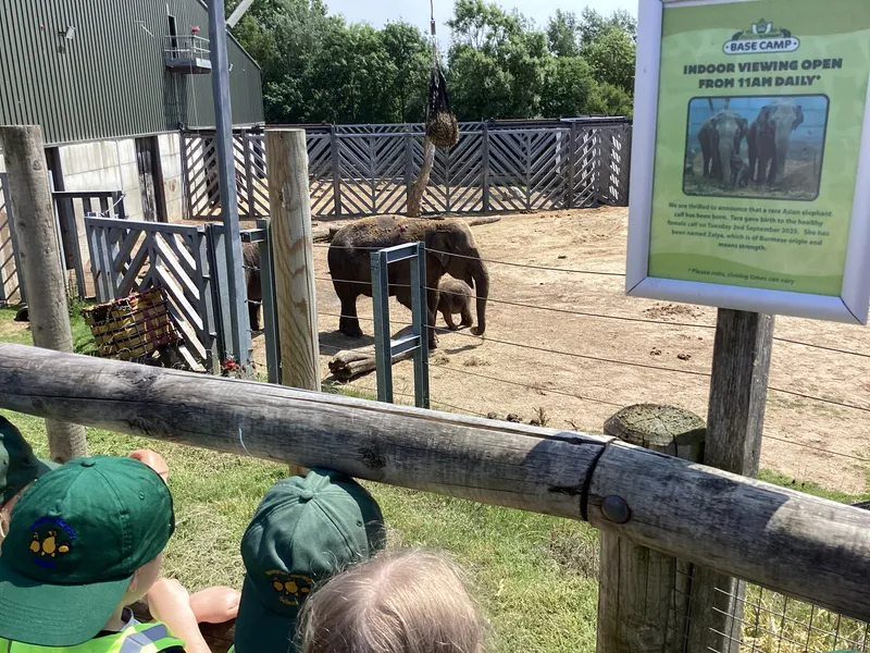 Blackpool zoo - image 8