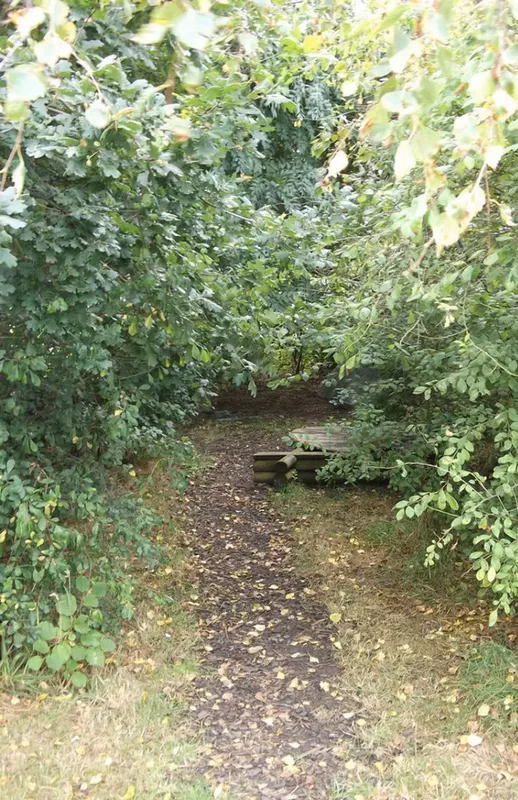 Forest School - image 12