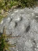 Forest School 63 - image 5 Forest School 63 - image 5