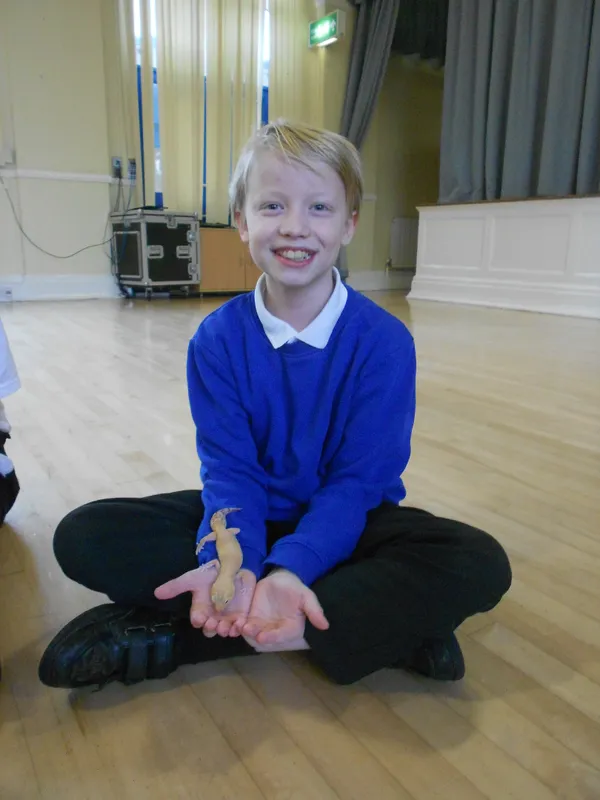 Y6 Reptile Rendezvous - image 41