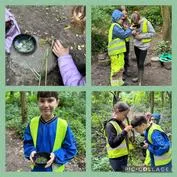 Forest School 34 - image 2 Forest School 34 - image 2