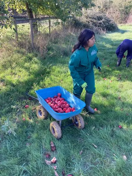 Farm Trip 25 - Gallery 2 - image 3