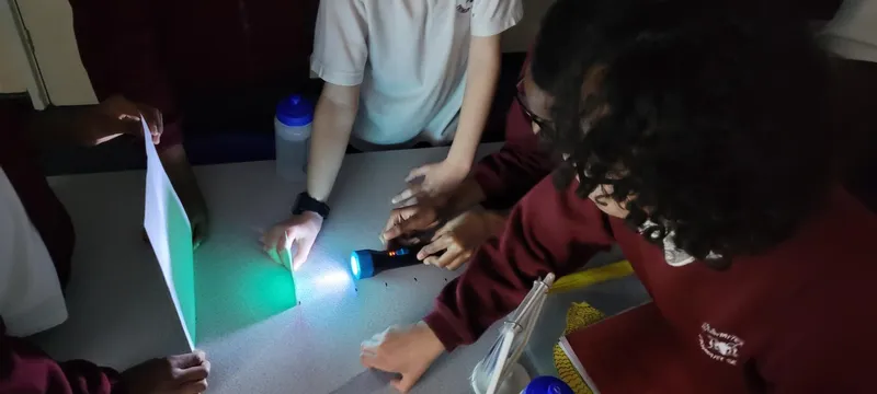 Gallery - created at 2022-11-02 08:06:56 - image 18