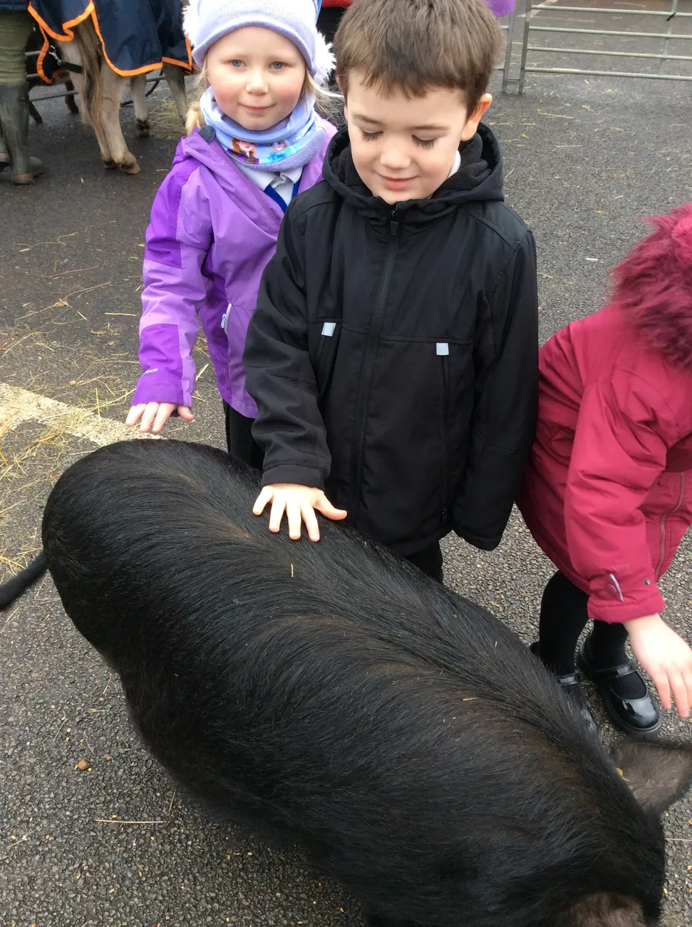 Gallery - created at 2023-03-03 16:33:51 - image 9