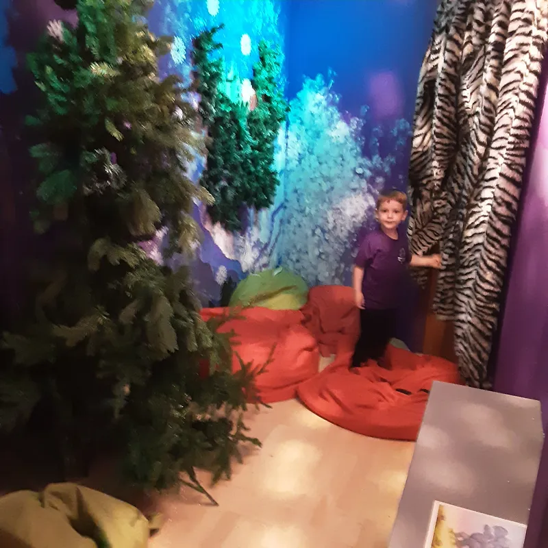 Whole School Trip to Newcastle  - image 12