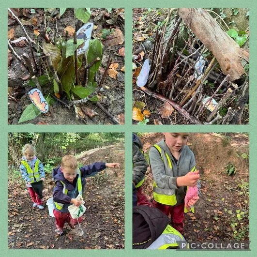 Forest School 28 - image 3 Forest School 28 - image 3