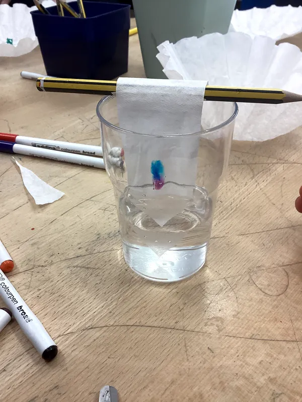 Science Week 2026 - image 32