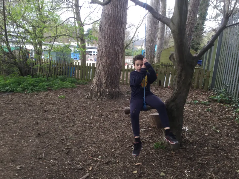 Forest School  - image 5