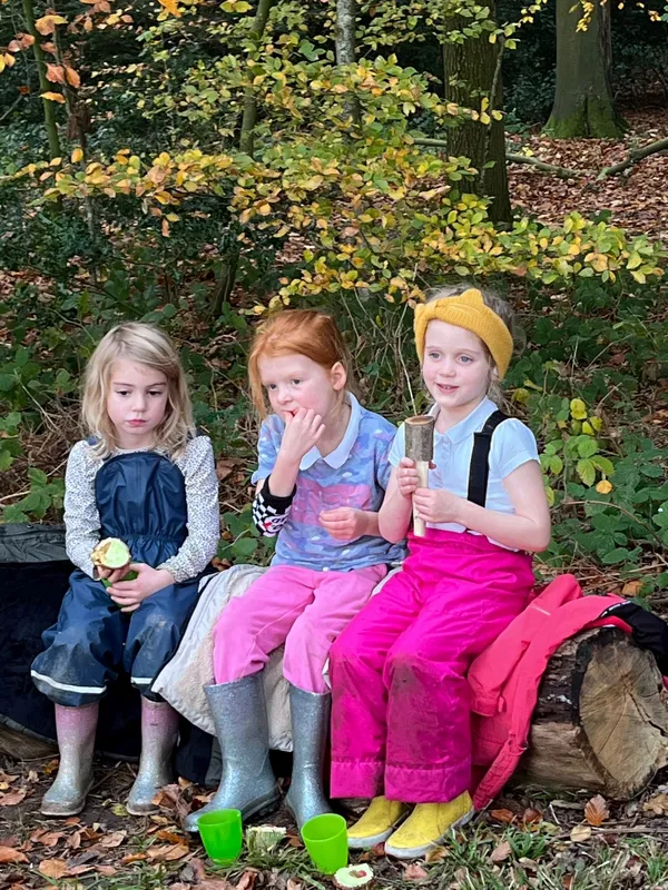 Gallery - created at 2022-11-14 17:15:19 - image 8