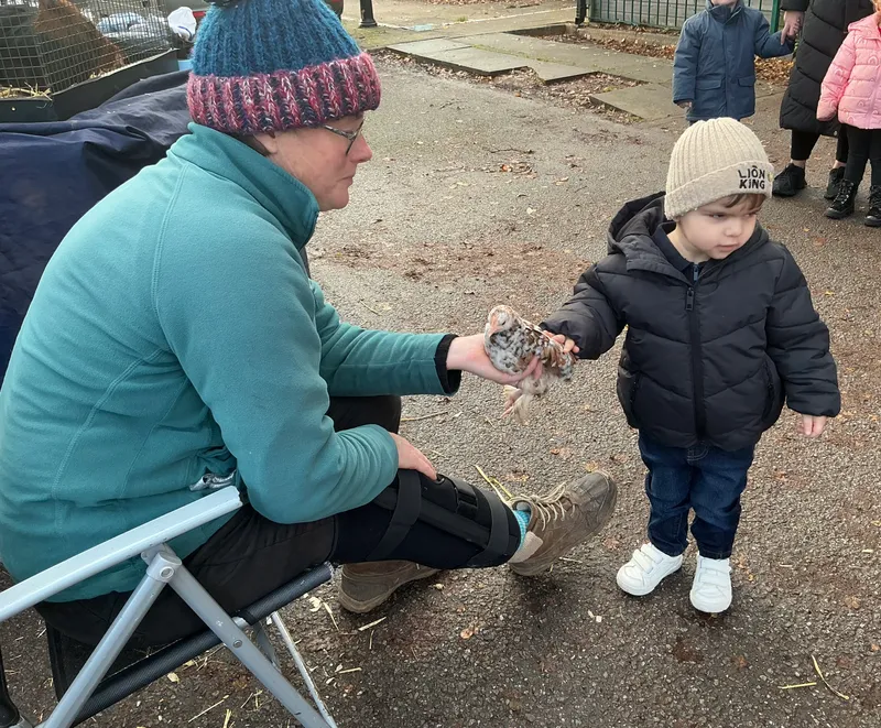 Stella farm on wheels Part 1 - image 11