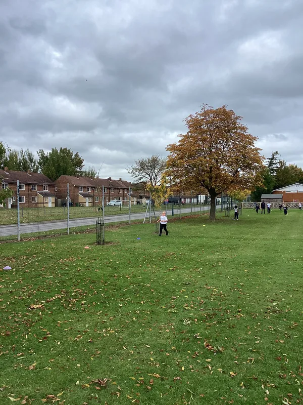 Gallery - created at 2023-03-06 09:54:01 - image 5