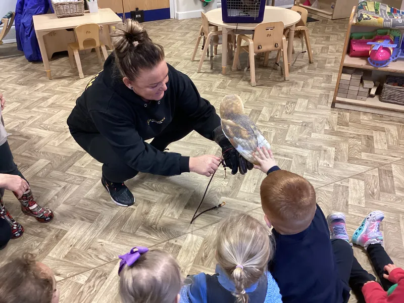 Owl visit - image 3 Owl visit - image 3