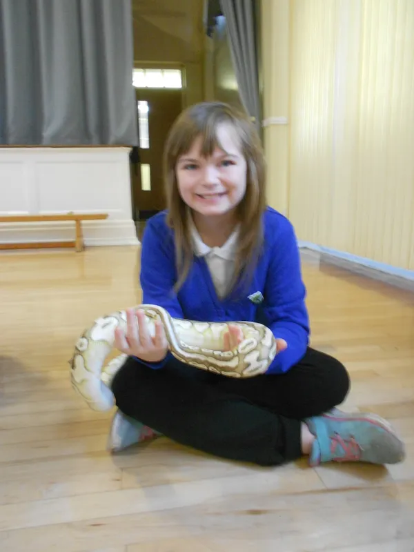 Y6 Reptile Rendezvous - image 62