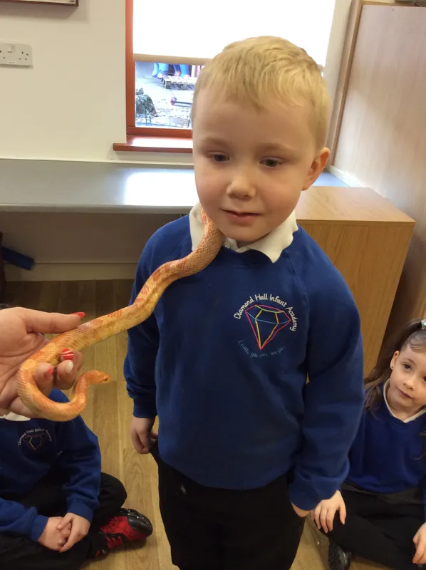 Gallery - created at 2024-02-26 17:15:57 - image 45 Gallery - created at 2024-02-26 17:15:57 - image 45