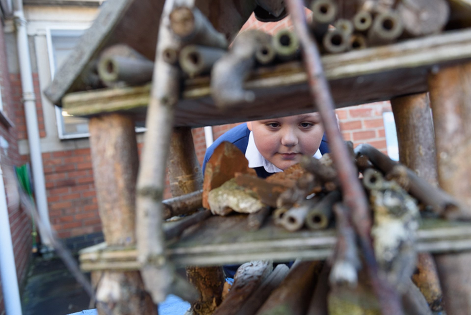 Slideshow 19