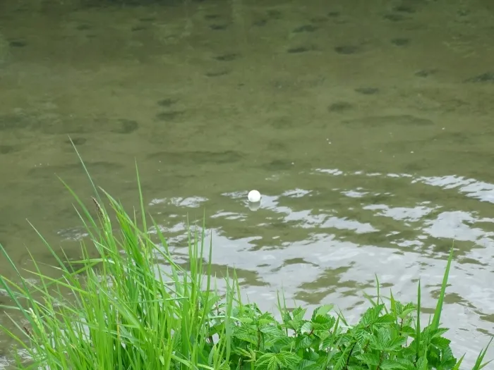 Gallery - created at 2018-07-14 14:57:47 - image 17 Gallery - created at 2018-07-14 14:57:47 - image 17