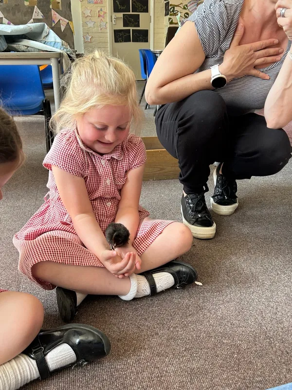 Gallery - created at 2025-05-15 20:09:46 - image 17