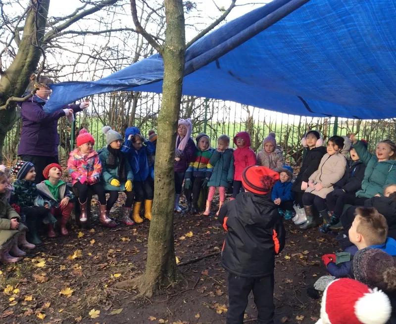 Gallery - created at 2023-03-03 13:08:07 - image 3