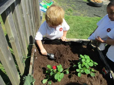 Planting - image 2