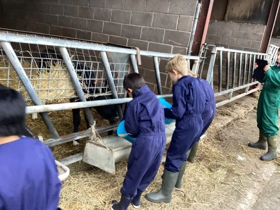 Farm 2025 - Gallery 3 - image 23