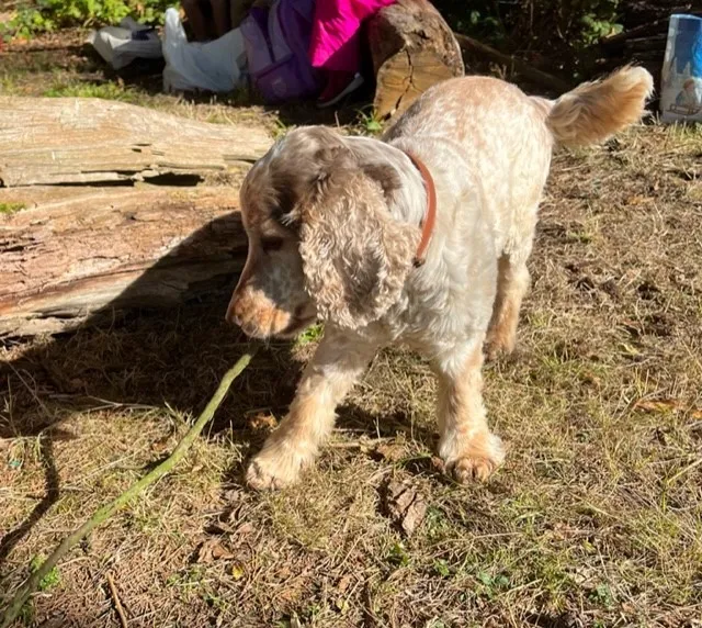 Gallery - created at 2022-10-17 20:44:00 - image 10