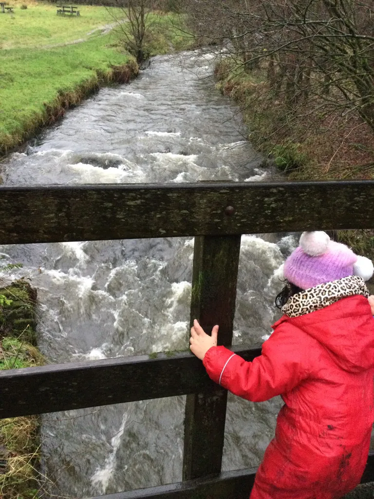 Healey Dell - image 12