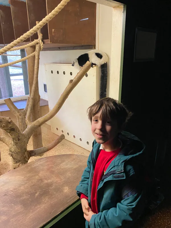 Gallery - created at 2023-02-28 20:50:59 - image 26 Gallery - created at 2023-02-28 20:50:59 - image 26