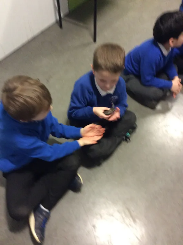 Gallery - created at 2024-02-15 10:35:32 - image 9 Gallery - created at 2024-02-15 10:35:32 - image 9