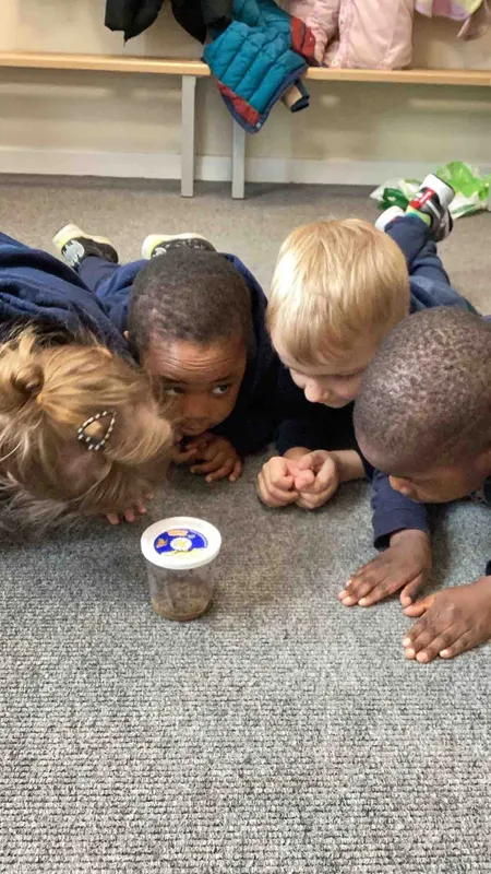 Gallery - created at 2024-06-10 15:20:47 - image 2