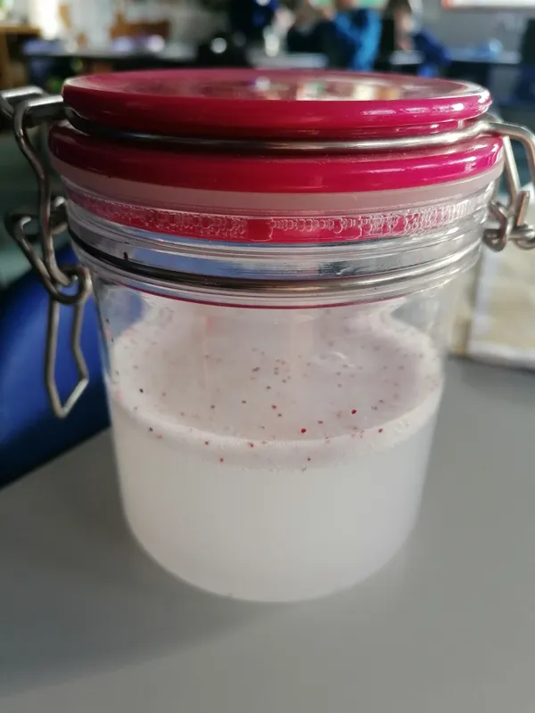 Gallery - created at 2021-02-25 08:10:48 - image 3