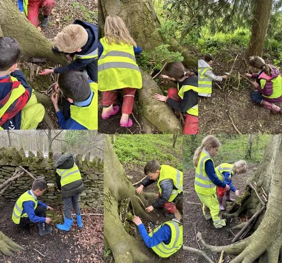 Summer 2023 - April 26th - Saplings - Living Things and Their Habitats (vertebrates and Invertebrates) - image 4 Summer 2023 - April 26th - Saplings - Living Things and Their Habitats (vertebrates and Invertebrates) - image 4