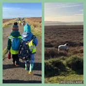 Forest School 26 - image 6 Forest School 26 - image 6