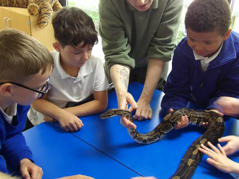 Y3 Yorkshire Wildlife Park Trip - image 52