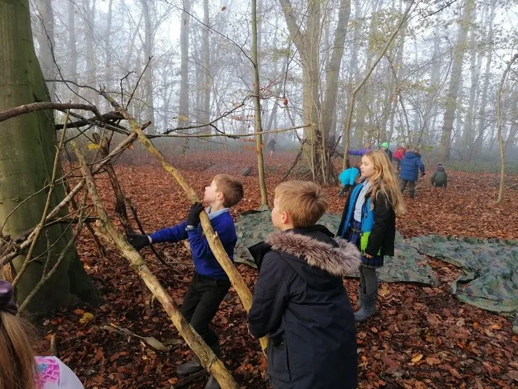 Gallery 2 - image 11