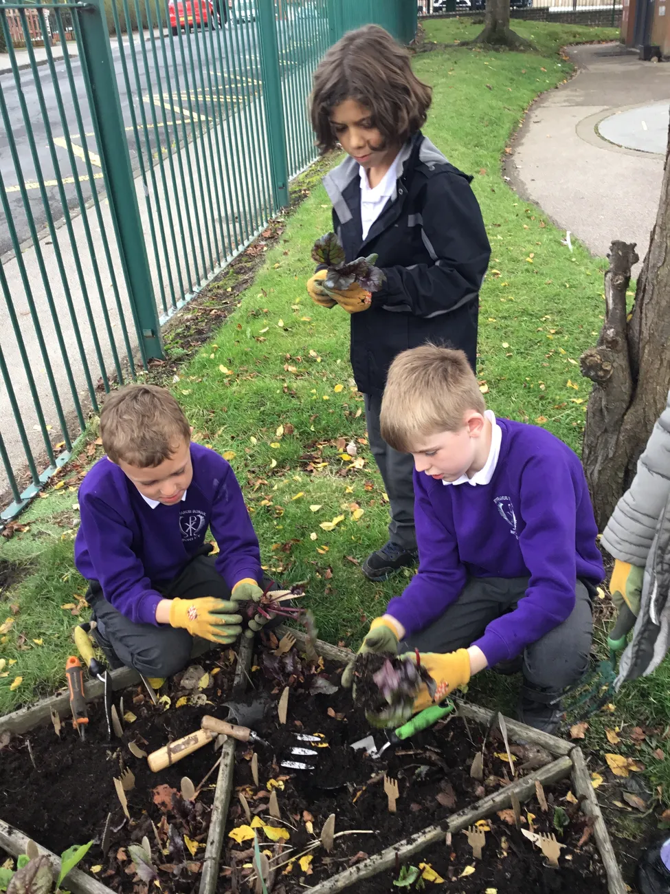 Gallery - created at 2023-09-07 16:46:06 - image 9 Gallery - created at 2023-09-07 16:46:06 - image 9