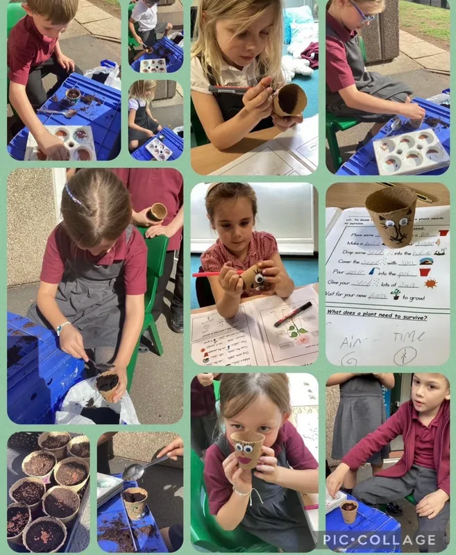 science gallery - image 11 science gallery - image 11