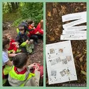 Forest School 5 - image 4 Forest School 5 - image 4