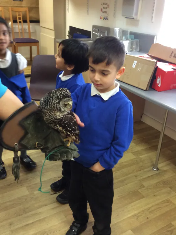 Gallery - created at 2024-02-26 17:15:57 - image 26 Gallery - created at 2024-02-26 17:15:57 - image 26