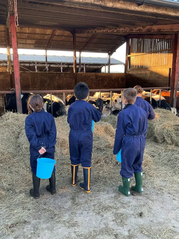 Farm Trip 2025 - image 4