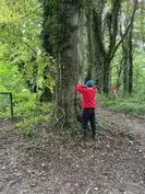 Forest School 34 - image 1 Forest School 34 - image 1