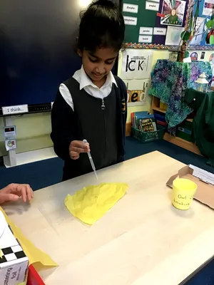 Owls Term 3 - image 2 Owls Term 3 - image 2