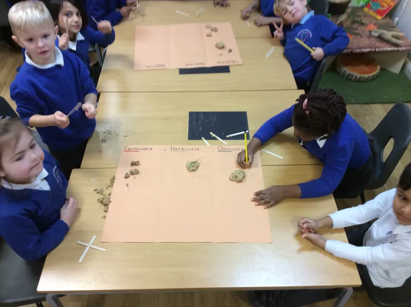 Dino Investigation - image 5 Dino Investigation - image 5