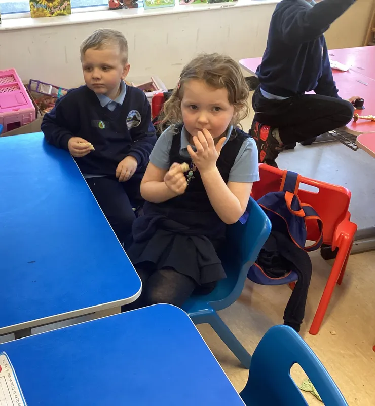 Primary 1 Literacy - image 5