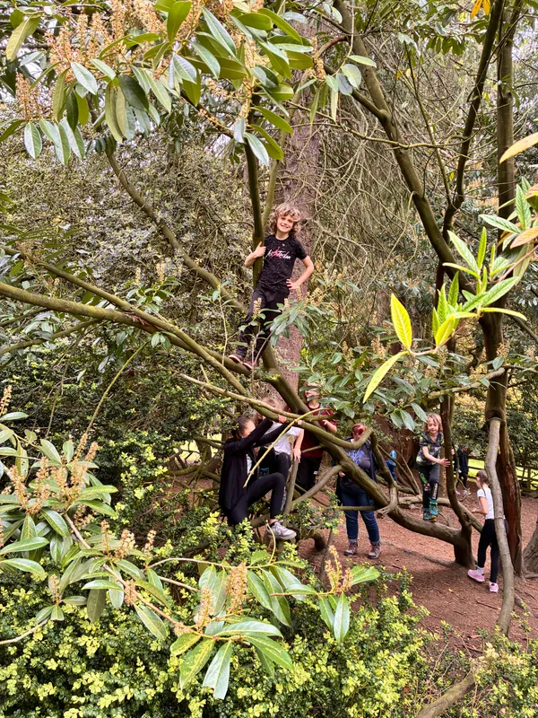 Year 3 Losehill Residential 2026 - image 74