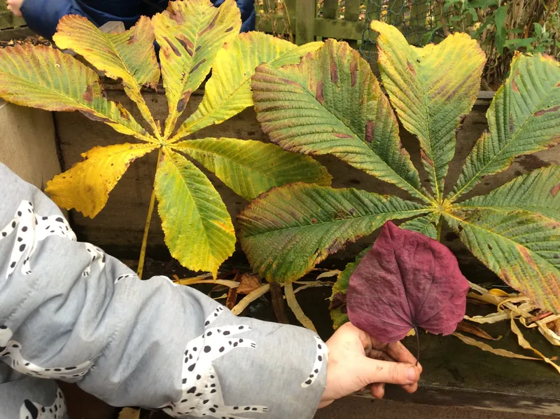 Gallery - created at 2019-01-15 14:42:50 - image 13
